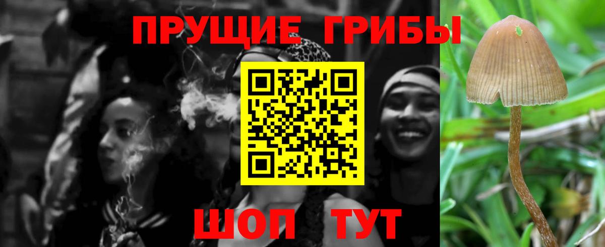 Галлюциногенные грибы мицелий  Вход с VPN  Кинель 
