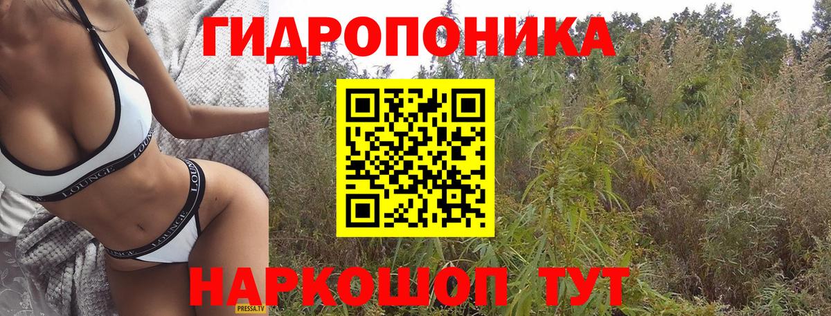 Бошки марихуана Bruce Banner Кинель